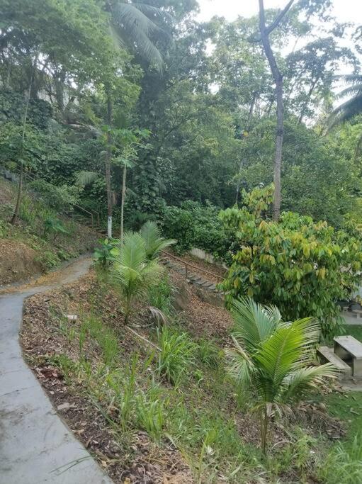 Apartamento Em Maceio-al Seven02
